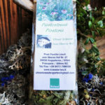 Piratentrunk mit Echinacea und Hagebutte