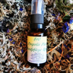 Propolis Halsspray o. Alkohol m. Kräutern